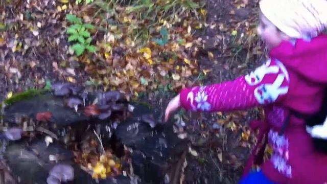 Вешенки и Настя, смотреть онлайн