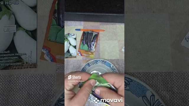 БАКЛАЖАН ЧЕРНЫЙ КРАСАВЕЦ. ПОСАДКА НА РАССАДУ. ОГОРОД НА КУБАНИ. shorts# смотреть онлайн