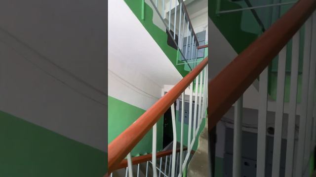 Ворона Фара шокирует🐥🐶 Crow Farah is shocking#животные#собака#шпиц#dog#птицы смотреть онлайн