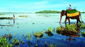 ТОП 7 ИНТЕРЕСНЫХ ФАКТОВ О ШРИ-ЛАНКЕ!