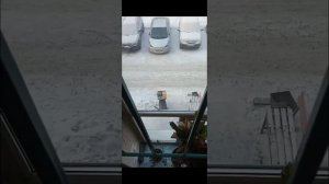 Жесть, курьеры в мороз на скутере.