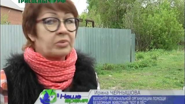 В Димитровграде произошел вопиющий случай жестокого обращения с животными смотреть онлайн