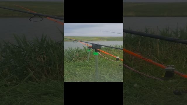 Рыбалка в анапе.