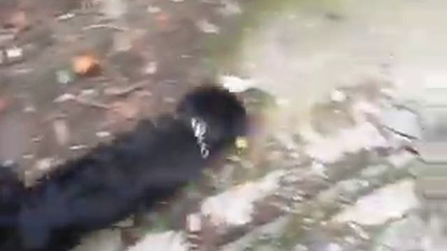 С Рональдом во дворе смотреть онлайн