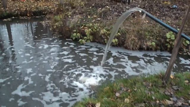 Рыба в ПРУДУ без головы. РЕЗУЛЬТАТЫ выращивания белых грибов смотреть онлайн