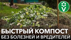 1 ЛОЖКА ЭТОГО ПРЕПАРАТА ПРЕВРАТИТ КОМПОСТ В БИОЛОГИЧЕСКОЕ ОРУЖИЕ ПРОТИВ НАСЕКОМЫХ-ВРЕДИТЕЛЕЙ!