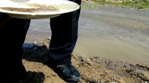 Как найти золото на речке