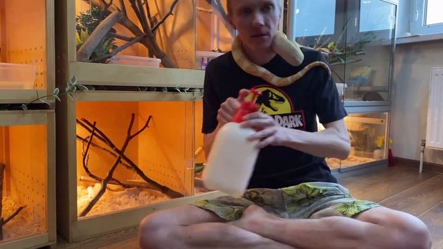 10 причин завести Змею смотреть онлайн