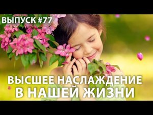 Высшее наслаждение в нашей жизни и решение проблем человечества
