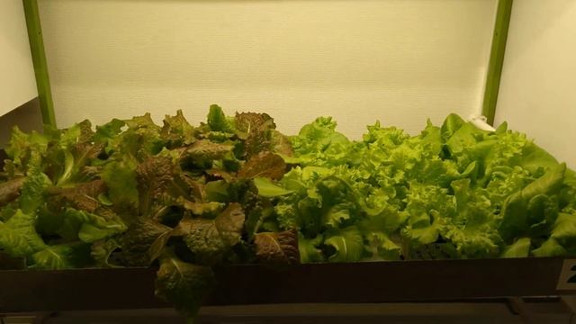 Новая лаборатория, новые эксперименты со светом смотреть онлайн