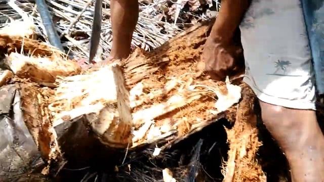 Catch and Cook Grub Worms смотреть онлайн