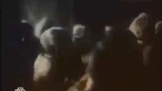 Чечня хайбах смотреть онлайн