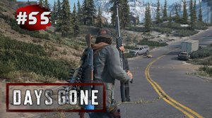 DAYS GONE (Жизнь После) ➤ Прохождение # 55 ➤ Лагерь Анархистов - Задание от Коури