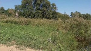 Пляж в Кленовке