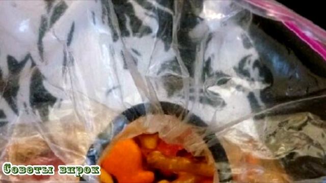 Гениальные идеи по использованию пакетов для замораживания 