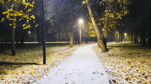 #travel #mist #view #night #park #snowfall #goprohero9 Осенний Вальс Ночь в Парке после Снегопада смотреть онлайн