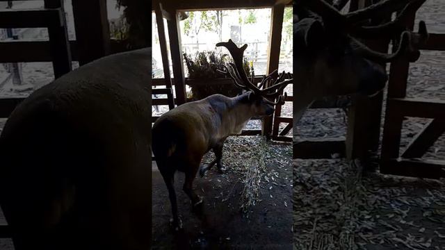 21 сентября 2022 г.цпкио смотреть онлайн