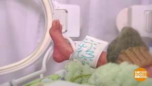 Самые-самые маленькие дети. Доброе утро. Фрагмент выпуска от 17.11.2021