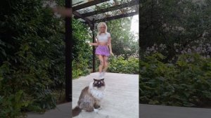 Shuffle Dance Compilation - Lizziecl