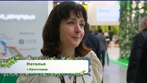 Фиолетовый картофель от компании СеДеК