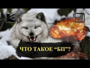 ВЫЖИВАНИЕ: Что такое БП и что его сопровождает _ Кто такие ВЫЖИВАЛЬЩИКИ