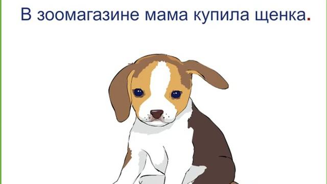 предложение и текст
