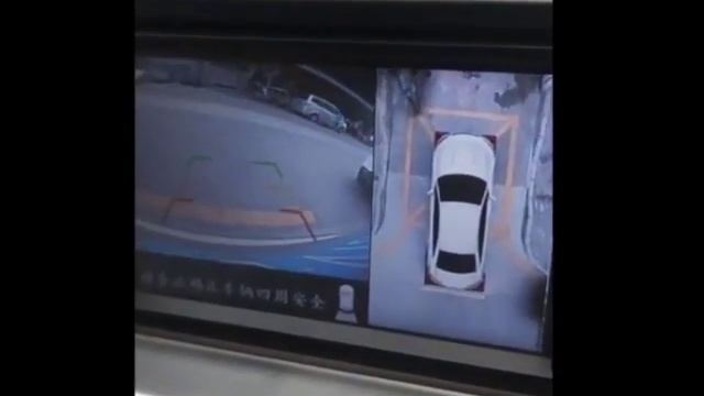 Видео круговой обзор