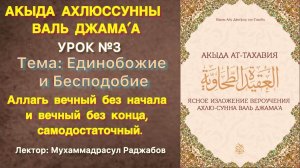 Акыда Ахлюссунна / АТ-ТАХАВИЯ / Единобожие, Аллах не описывается категориями творений (Урок №3)