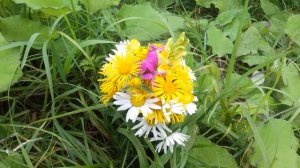 Мое поздравление ! Внучке Софийке - 10 лет.