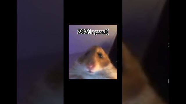 Мемы #roblox #роблокс #котейки #котики #смешныеживотные раньше -сейчас смотреть онлайн