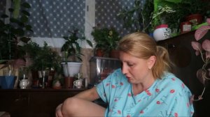 Огромный папортник (Нефролепис МАЧО?) + Растения из школы