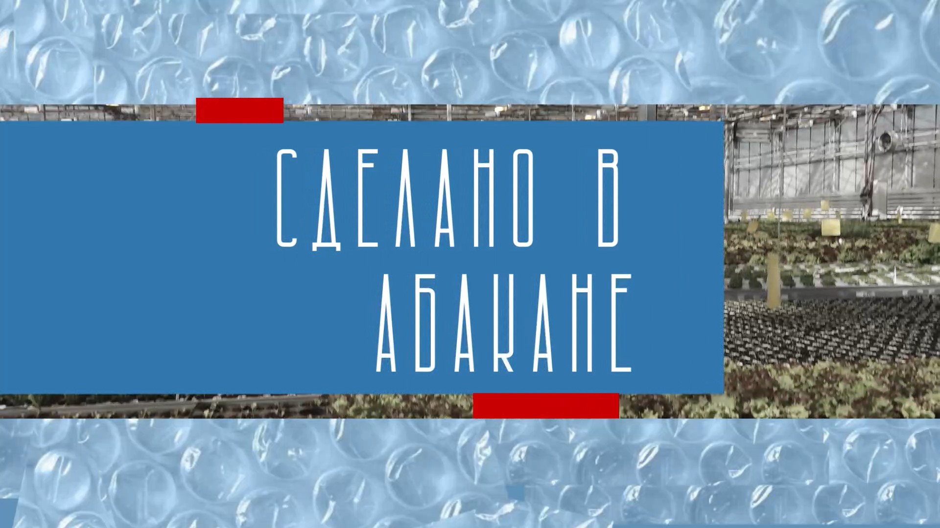 Сделано в Абакане// Как изменились местные предпринимательские выставки - Абакан 24