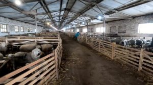 Срочный выезд на овцеферму! Порвало ворота, нужен сварщик! Ну и еще пара человек не помешает!