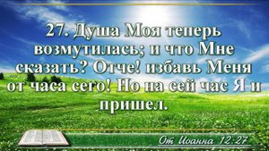 Евангелие от Иоанна с музыкой глава 12 читаем и слушаем