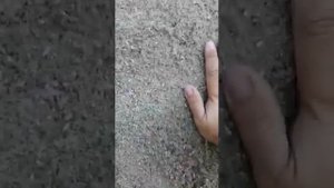 Утепление дома эковатой влажным способом