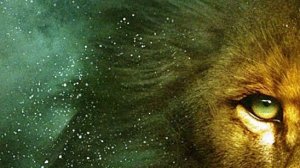 NBSPLV – Walk With Me