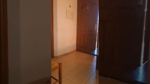 plantas medicinales смотреть онлайн