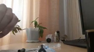 Как продлить "жизнь" испарителю