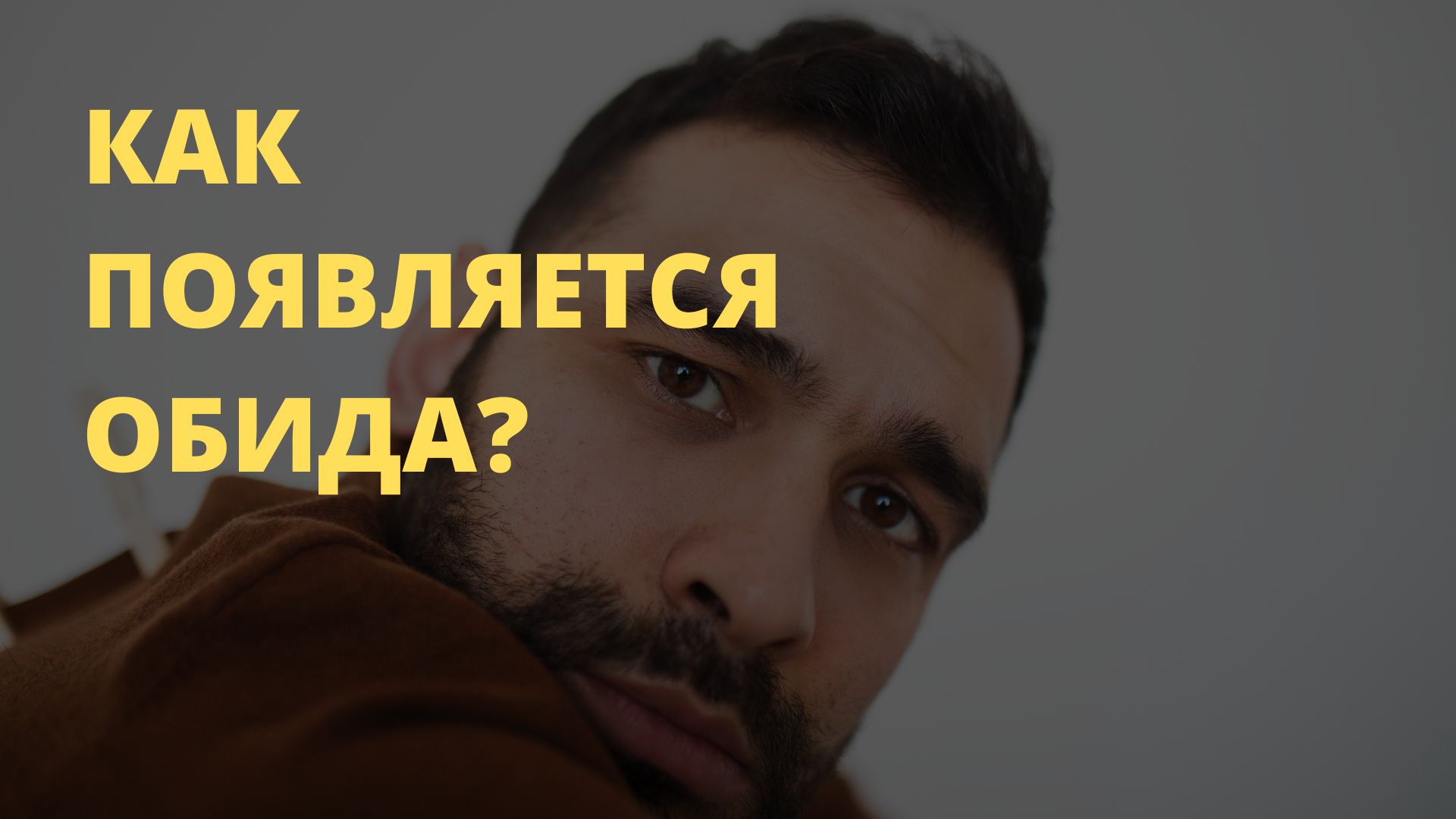 Оживленное почему нн. Почему мы обижаемся психология.