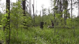 СОЛОНЕЦ ДЛЯ ЛОСЯ. Как я делал свой первый солонец.