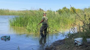 РЫБАЛКА НА ДОНКУ И ПОПЛАВОК В АСТРАХАНИ. ГУСТЕРА, КРАСНОПЁРКА, КАРАСЬ. Это идеальное место.