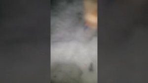 Видосик от подписчика!😁😉😎Думал ненаход, а нет наход!)