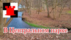 Прогулка в Центральном парке Калининграда ранней весной