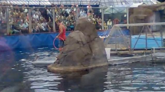 Дельфинарий в Московском зоопарке