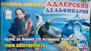 Адлерский дельфинарий  август 2024г