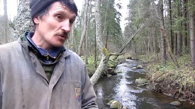 Стихи лесника....... смотреть онлайн