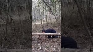 Елисей Витальевич Дутковский - Вариация на тему "Послеполуденный отдых фавна" К. Дебюсси, г. Москва