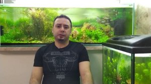 Микроэлементы и аквариумные растения