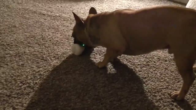 Шалунишка смотреть онлайн