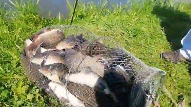 улов на оз. Игумное смотреть онлайн